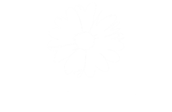 KADEN & KAI logo