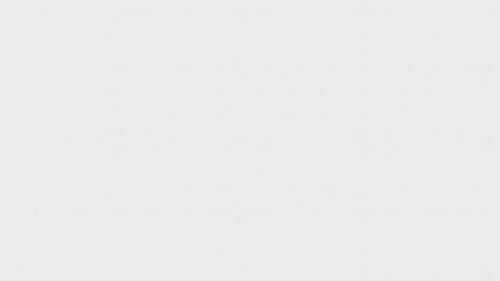 Vine Growing |  Vine Collection  | KADEN & KAI